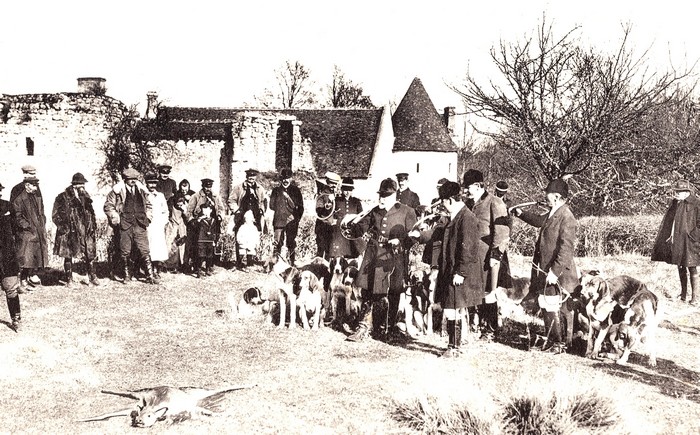 Curée - Dans le Cher en mars (1925) - Rallie Saint-Hubert, Equipage Beauchamps, Equipage de Chandaire - Don à la Société de Vènerie